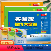 语文+数学+英语(人教版) 三年级上 [正版]小学实验班提优大考卷一年级上册二年级三四五六下语文数学英语试卷测试卷全套人