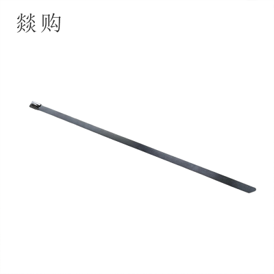 燚购304不锈钢自锁式扎带10*600mm 根