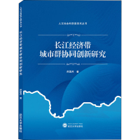 音像长江经济带城市群协同创新研究苏国兵