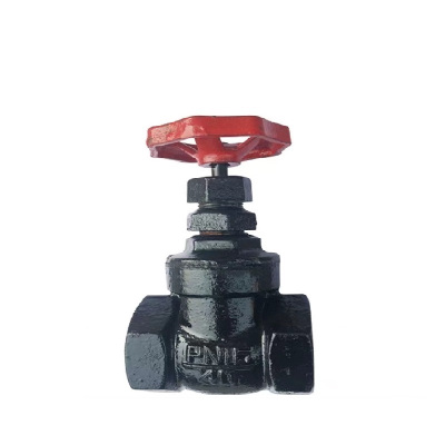 伟鹏双兴 铸铁丝扣闸阀 DN25(1寸) 个