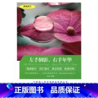 [正版] 双语读物 左手倒影右手年华 美丽英文 中文版+英文版 中英文对照 励志故事 世界名著英语图书 经典文学小说