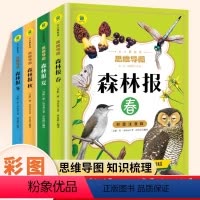 [彩图注音]春夏秋冬全套4册 [正版]森林报春夏秋冬全四册注音版 原著完整版 小学生一年级二年级三年级课外阅读书籍必读儿