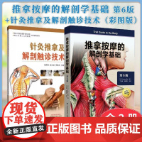 [全2册]针灸推拿及解剖触诊技术(彩图版)+推拿按摩的解剖学基础第6版 张院宝 赵云龙 李继光 主编 中国中医药出版社