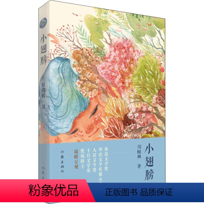 小翅膀 [正版]小翅膀 周晓枫 《聋天使》《巨鲸歌唱》《有如候鸟》作者周晓枫*部 儿童文学作品 作家出版社 儿童小说课外