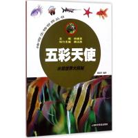 五彩天使