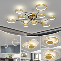 苏宁放心购 2020新款客厅灯简约北欧后现代led吸顶灯卧室灯圆形大气创意北欧灯具套餐