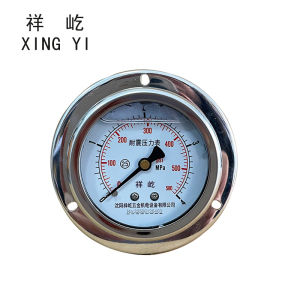 祥屹 耐震压力表(轴向带边) YN60ZT 块