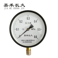 嘉禾长久 压力表检测型 Y150 块