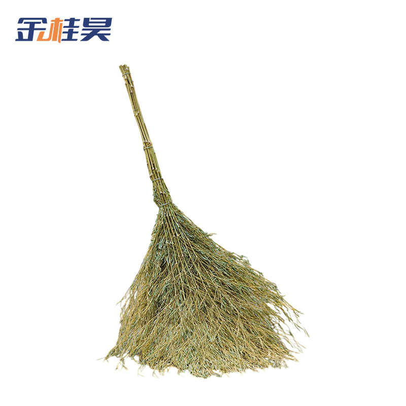 金桂昊 大扫把 一体带叶5斤重 把