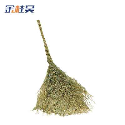 金桂昊 大扫把 一体带叶5斤重 把