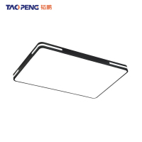 韬鹏 吸顶灯 48W 个