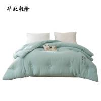 华北昶隆 保暖棉被空调被 180*220cm 1床