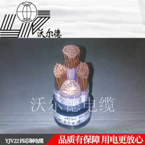 沃尔德电缆 电力电缆 YJV22 0.6/1KV 4*50+1*25