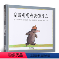 [正版]安徒生金奖是谁嗯嗯在我的头上精装版儿童绘本0-3-5-6岁故事书书籍 宝宝启蒙绘本图画书 幼儿园早教启发书籍