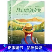 绿山墙的安妮 [正版]绿山墙的安妮 三四五六年级小学生课外阅读书籍儿童文学名著青少年版蒙哥马利原著绿野仙踪课外书 浙江文