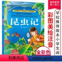 [正版]昆虫记原著美绘注音版6-10岁课外书三四五六年级儿童文学中小学生阅读课外书彩图版外国文学少儿经典