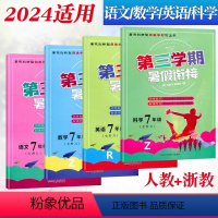 七升八4本/ 语英(人教)+数科(浙教) 七年级/初中一年级 [正版]2024第三学期初中暑假衔接七7升8八年级语文数学