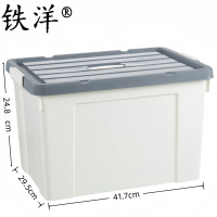 铁洋 整理收纳箱 30L(41.7cm*29.5cm*24.8cm) 个