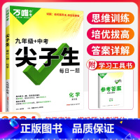 9年级[化学]尖子生 初中通用 [正版]2024尖子生七八九年级数学物理化学专项训练初中初 二一三每日一题培优提优同步练
