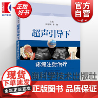 超声引导下疼痛注射治疗 疼痛科麻醉科上海科学技术出版社临床指导书籍医学正版工具书