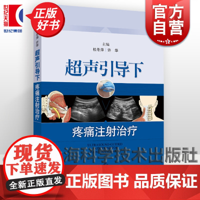 超声引导下疼痛注射治疗 疼痛科麻醉科上海科学技术出版社临床指导书籍医学正版工具书