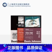 [正版]丹尼斯·约翰逊作品共三种 故事群岛 海仙女的馈赠 火车梦 耶稣之子 短篇小说集 肮脏现实主义 上海译文出版社