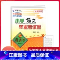 [正版]2023孟建平小升初毕业升学总复习小学语文毕业考试卷升学系统总复习辅导资料模拟试卷精选真题卷名校冲刺卷押题卷必