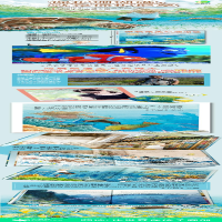 [M]穿越寒武纪珊瑚礁-9787556069026