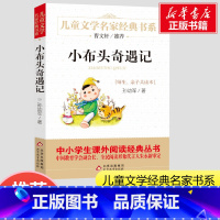 小布头奇遇记 [正版]小布头奇遇记一年级三年级四年级孙幼军儿童文学名家经典书系 小学生一二年级课外书阅读儿童故事书6-1