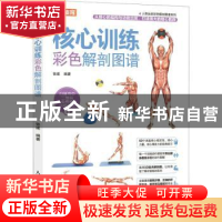 正版 人体运动彩色解剖图谱-核心训练彩色解剖图谱(彩印) 张建 人