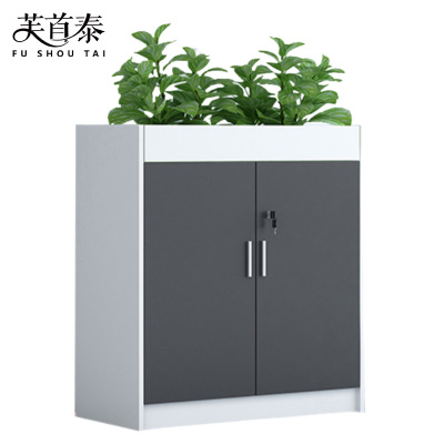 芙首泰矮柜两门800*300*1200mm台
