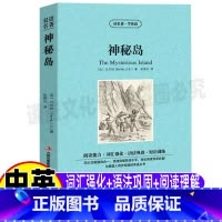 [正版]神秘岛书英文版原版中文版英汉互译中英文双语对照读名著学英语系列凡尔纳原著青少年中小学生课外书张晨光译吉林出版社