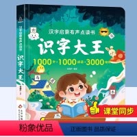 汉字启蒙有声点读书:识字大王 [正版]青葫芦图书 会说话的汉字家族2000+手指点读发声书识字大王早教有声播放书幼小衔接