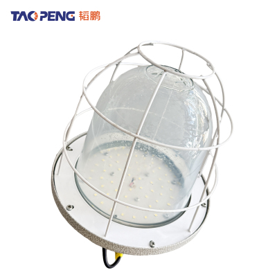 韬鹏 防爆灯 100W 个