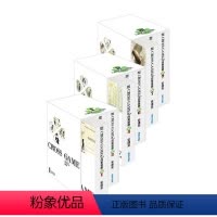 [正版]外图台版漫画四叶游戏 豪华典藏书盒版 一二三 安达充 青文