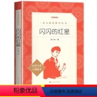闪闪的红星 [正版]闪闪的红星书 李心田 小学生三四五六年级语文书籍课堂阅读书目儿童文学经典书系9-15岁阅读书