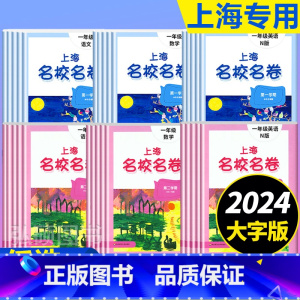 2年级下册 语数英+作文影片课 小学通用 [正版]2024上海名校名卷二年级一二三四五年级六七八九上下册语文数学英语电子