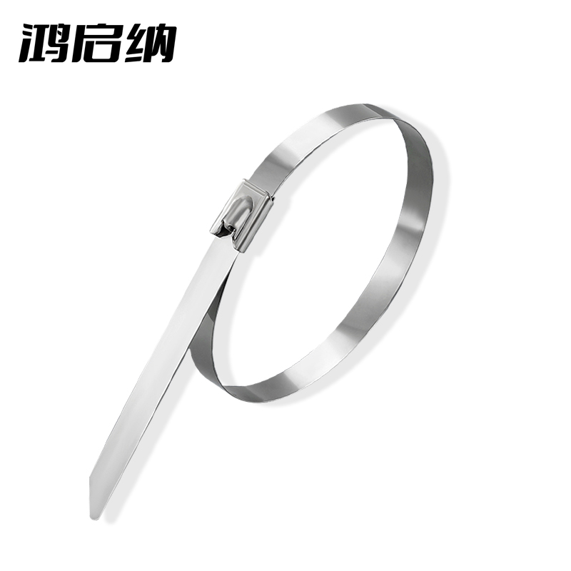 鸿启纳 304不锈钢扎带金属强力卡扣自锁式收紧23122504 4.6mm*250mm (100根/包)