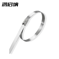 鸿启纳 304不锈钢扎带金属强力卡扣自锁式收紧23122504 4.6mm*250mm (100根/包)