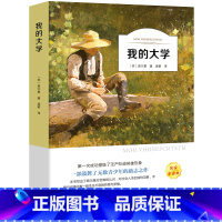 我的大学 [正版]童年六年级必读课外书 高尔基书 小学课外阅读原著彩绘版完整版小学生初中课外书籍三部曲爱的教育雨来人民文