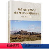 [正版]西南天山 势矿产成矿规律与预测 研究