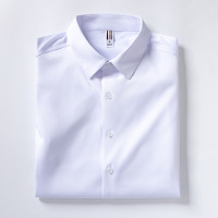 商务长袖衬衫春秋新款男式弹力免烫工装衬衣男士百搭寸衫