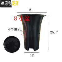 三维工匠园艺兰花盆塑料大中小号透气黑色带孔国兰君子兰墨兰花专用盆 8寸加黑色托盘 同规格50个(送网套)花盆容器