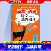 古诗文课外阅读 小学四年级 [正版]2024新黑马阅读古诗文课外阅读四年级上下全一册小学语文4年级古文诗词文言文全解阅读