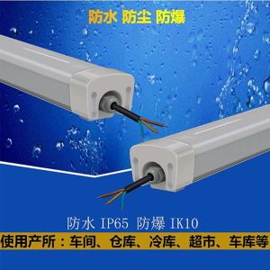 勇玖(LIGHTFOREVER) YT03-60 三防灯