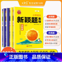 太阳版语文数学+月亮版语文数学共4本 小学通用 [正版]2024新版王朝霞新颖题集锦太阳月亮版知识大盘点语文数学四五六年