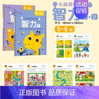 头脑潜能开发.智力5-6岁 全2册 [正版]头脑潜能开发 智力 数学 迷宫2-3-4-6周岁儿童益智书智力专注力逻辑思维