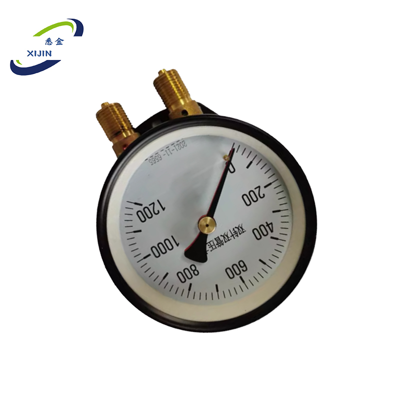 悉金 双针压力表 XJ - YCS100-QSY 个