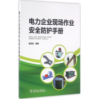音像电力企业现场作业安全防护手册白泽光 编著