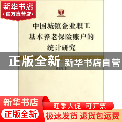 正版 中国城镇企业职工基本养老保险账户的统计研究 胡玉琴著 浙